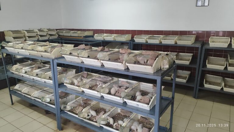 зображення_viber_2026-01-13_17-50-49