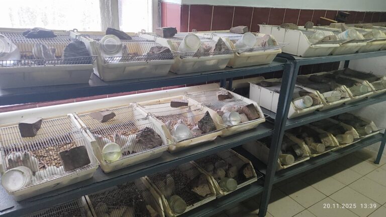 зображення_viber_2026-01-13_17-52-20